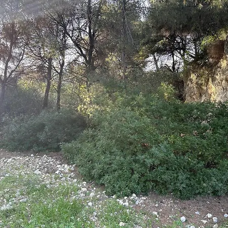 Breathe Guest-house 아파트 니스